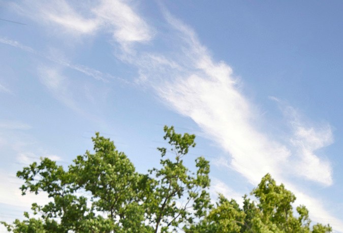 ChatGPT llega a Volkswagen: así es su nueva función de voz