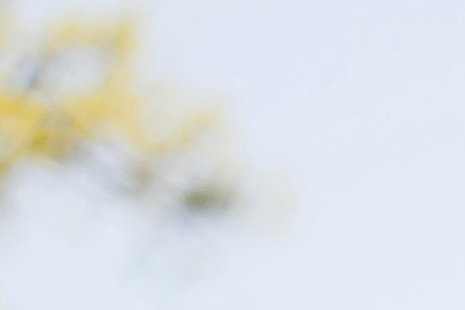 Volkswagen Jetta 2025: más tecnología y mejor precio