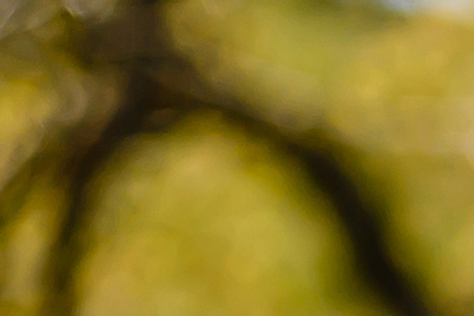 Volkswagen Jetta 2025: más tecnología y mejor precio