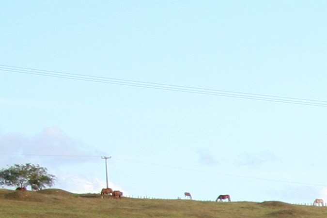 Cuáles son los accidentes de tránsito más frecuentes y peligrosos