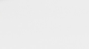 circuito autodromo monza carreras