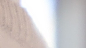 Cita para sacar licencia de conducir en Texas