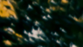 cuope pros y contras