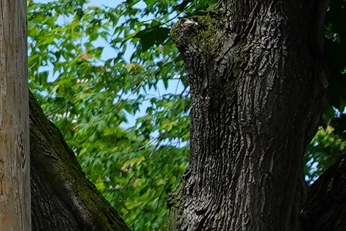 cuánto cuesta un corvette en Estados Unidos