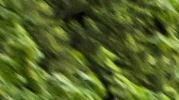 cuanto cuesta un trailer