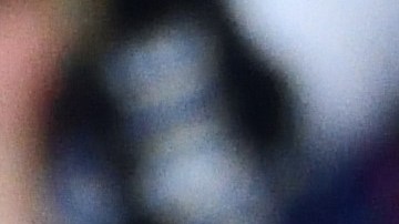 Los coches más espectaculares de Donald Trump