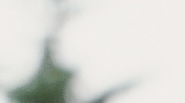 exceso de equipaje daña el carro