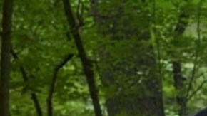 Ford Bronco Badlands 2024 equipada con el paquete Sasquatch