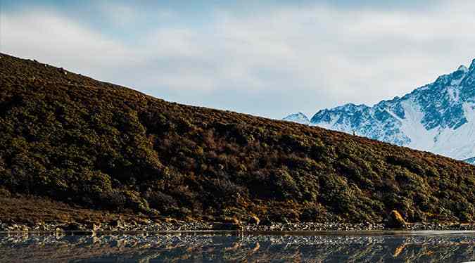 Las 10 pick-ups más vendidas en el mundo este 2024
