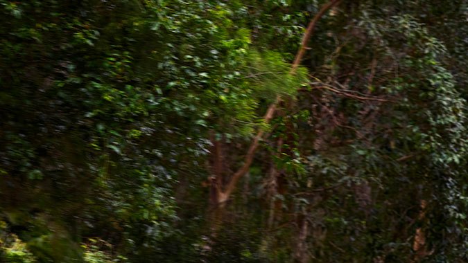 Las 10 pick-ups más vendidas en el mundo este 2024