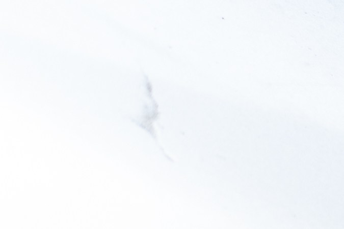 como quitar la humedad de los faros del carro