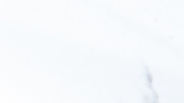 Restaura tus faros con un producto que ya tienes en casa