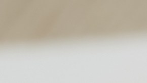 Manual del conductor de Tennessee