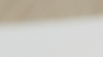 Manual del conductor de Tennessee