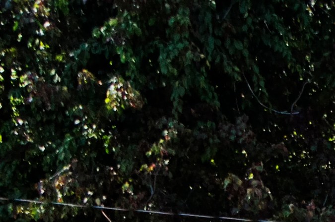 monster truck rally las vegas