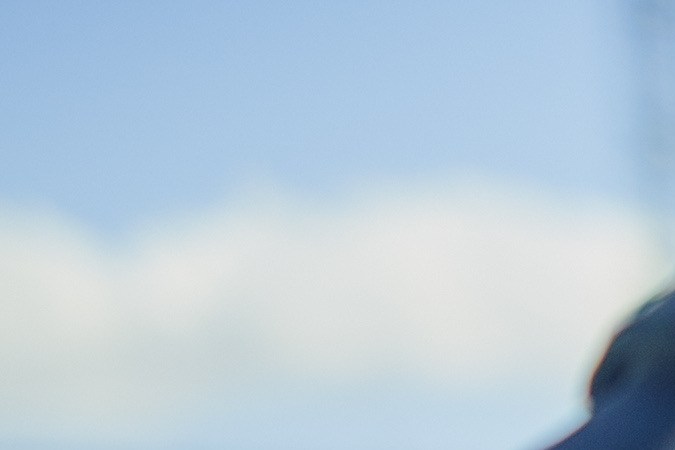 Multa por pasar luz roja Florida