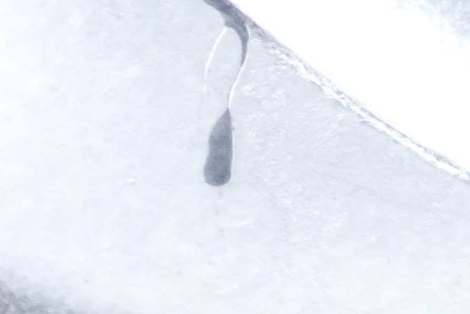 Costo de las placas para un auto en Texas
