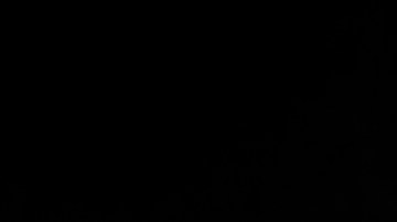 Conoce la Manumatic: transmisión mixta de autos modernos