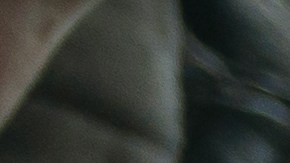 robo de matricula de carro