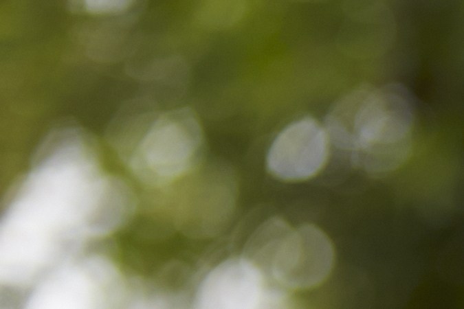 costo de multas en estados unidos​