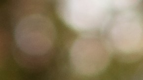 Sensores LiDAR: tecnología láser que cambiará la conducción