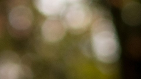 Sensores LiDAR: tecnología láser que cambiará la conducción