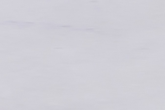 subasta de carros chocados en new york