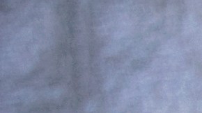 Subasta de carros chocados en New York