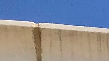 texas restringe cambios en la licencia de conducir