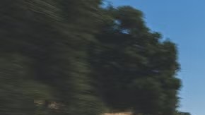 2025-porsche-panamera-turbo-s-e-hybrid