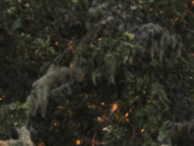 Lincoln Navigator 2025: lujo de seis cifras