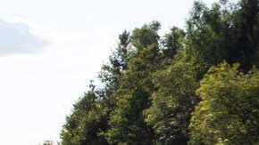 El Ferrari 12Cilindri 2025 acelerando en una carretera despejada, con su V-12 rugiendo mientras el paisaje pasa a toda velocidad.