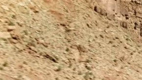 2025-ford-expedition