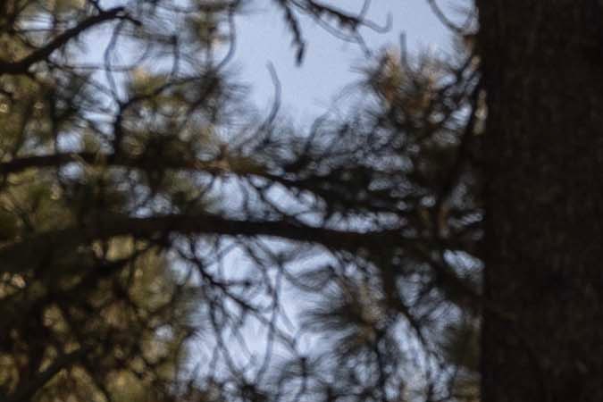 Los mejores SUV compactos en 2024 y 2025, según Carfax