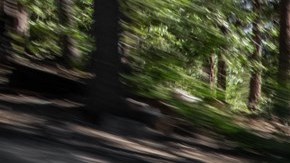 2025 Kia Carnival Hibrida