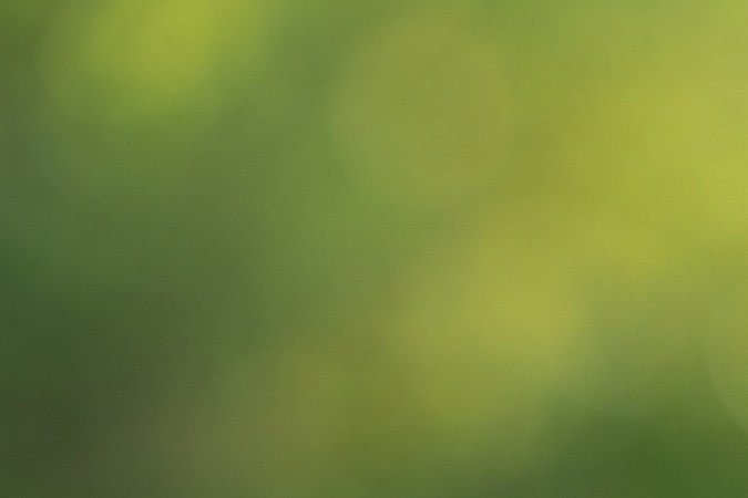 6 marcas históricas de autos que podrían desaparecer en EEUU