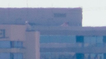 Requisito para evitar la inspección vehicular en Texas