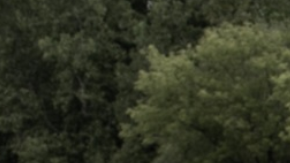 Dodge Durango 2025 Brass Monkey: 710 hp de puro poder