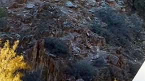 Cómo funciona el modo cangrejo en los vehículos