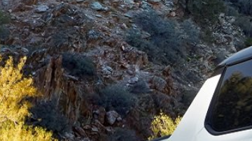 Cómo funciona el modo cangrejo en los vehículos
