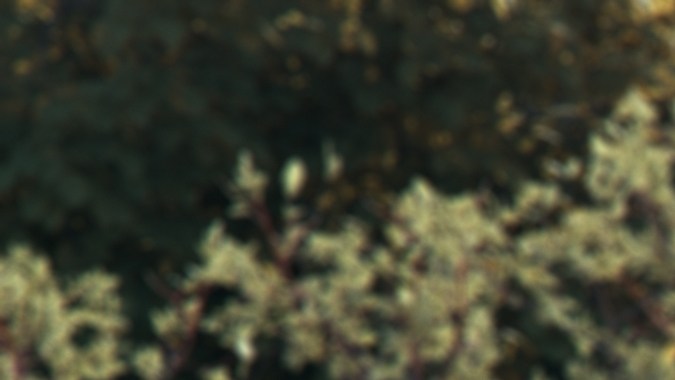 Lotus Emira 2025: el gran deportivo británico