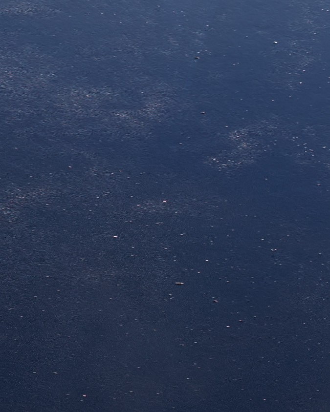 Regresa el icónico BMW Z8: serán solo 50 y a precio increíble