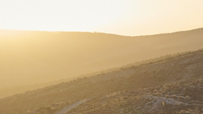 ¿Purista de corazón? El Porsche 911 Carrera T 2025 te sorprenderá