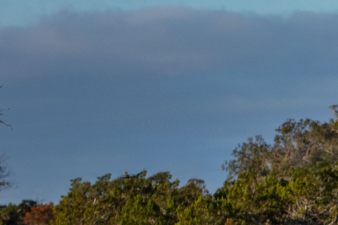 1500 Tungsten vs Sierra Denali: ¿Cuál pickup de lujo elegir?