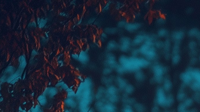 Acusan a Elon Musk de copiar diseños para Tesla