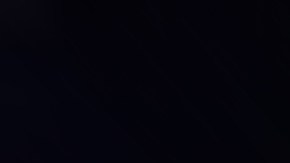 Esquivar o atropellar: qué hacer si se cruza un animal salvaje en la carretera