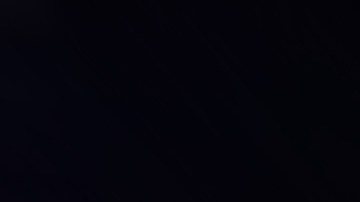 Esquivar o atropellar: qué hacer si se cruza un animal salvaje en la carretera