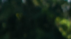 Modificaciones comunes que dañan tu carro y te causan apuros