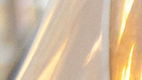 El truco para limpiar insectos del parabrisas y carrocería sin dañar tu auto