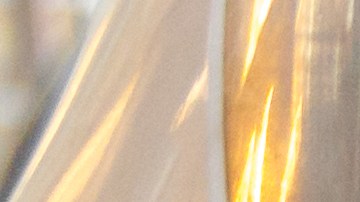 El truco para limpiar insectos del parabrisas y carrocería sin dañar tu auto